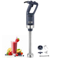 Vevor Mixeur 500 W Acier inoxydable