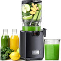 LINKChef Centrifugeuse 1.8 L 250 W Noir Silencieux