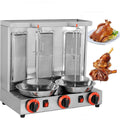 Dpqyjpp Four electrique 3000 W Acier inoxydable